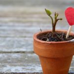 Engagementwerkstatt