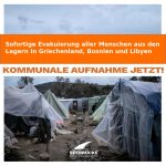 Seebrücke: "Die Nacht der Goldenen Kokons" - Soli-Campen statt Lager