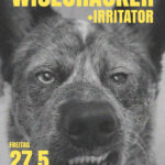 Schublade Punk präsentiert: WISECRÄCKER (H) + IRRITATOR (BI)