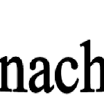 Spielesonntag bei der FAU